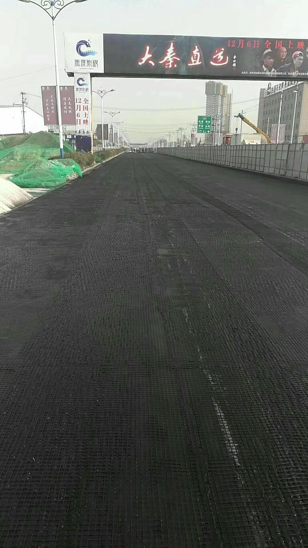 日喀則地區鋼塑復合土工格柵價格《-歡迎您》日喀則地區價格《-歡迎您》